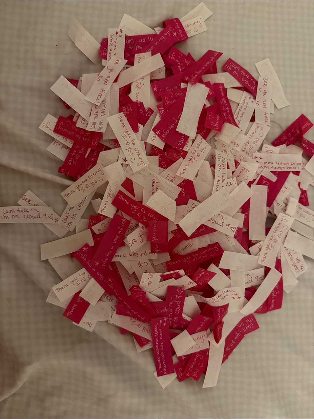 Assorted Pink and White Confetti from Megan Moroney Cloud 9 Tour (10 Pcs)
